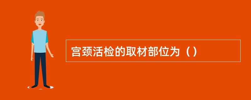 宫颈活检的取材部位为（）