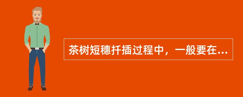 茶树短穗扦插过程中，一般要在苗床上铺（）厚的红壤或黄壤心土。