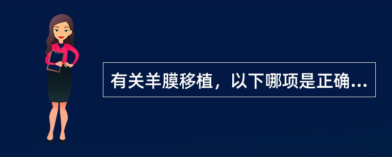 有关羊膜移植，以下哪项是正确的（）。