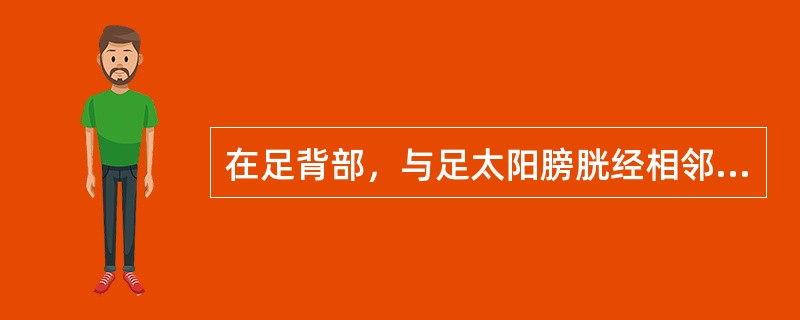在足背部，与足太阳膀胱经相邻的经脉是（）。