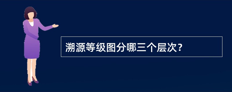 溯源等级图分哪三个层次？