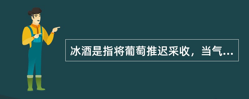 冰酒是指将葡萄推迟采收，当气温低于-7℃以下，使葡萄在树枝上保持一定时间，结冰，