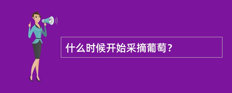 什么时候开始采摘葡萄？