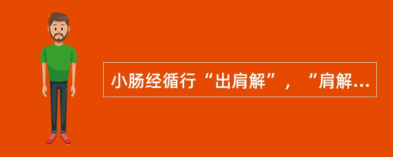 小肠经循行“出肩解”，“肩解”指的是（）。