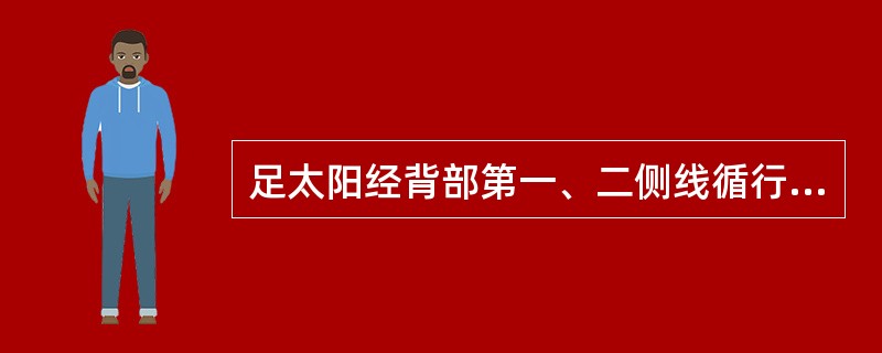 足太阳经背部第一、二侧线循行之后会合的部位是（）。