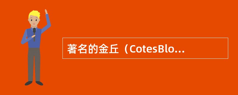 著名的金丘（CotesBlondes）和褐丘（CotesBrunes）是来自于罗