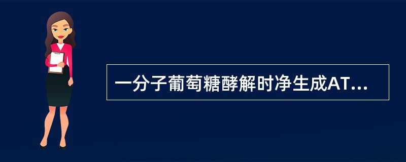 一分子葡萄糖酵解时净生成ATP数（）