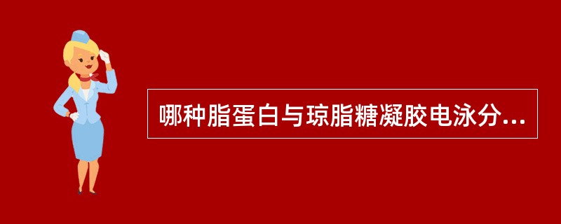 哪种脂蛋白与琼脂糖凝胶电泳分离出的α-脂蛋白相对应（）