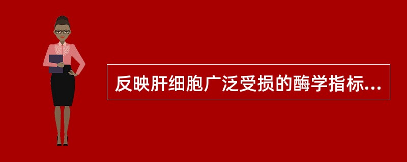 反映肝细胞广泛受损的酶学指标是（）