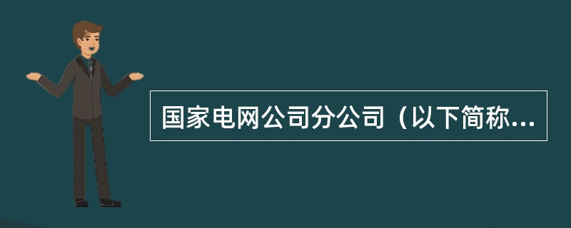 国家电网公司分公司（以下简称国网分公司）、集团公司、省（直辖市、自治区）电力公司