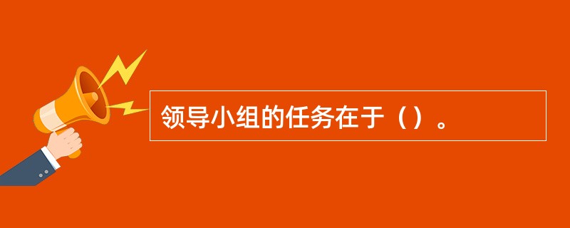 领导小组的任务在于（）。