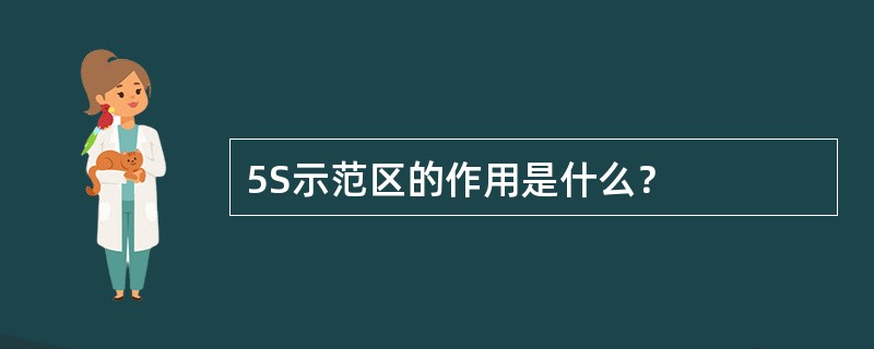 5S示范区的作用是什么？
