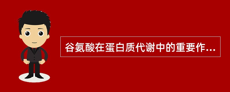 谷氨酸在蛋白质代谢中的重要作用有（）