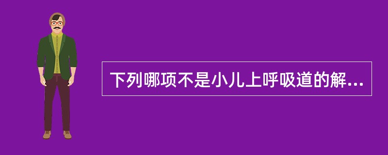 下列哪项不是小儿上呼吸道的解剖特点（）