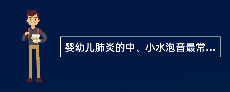 婴幼儿肺炎的中、小水泡音最常在以下哪个部位听到（）