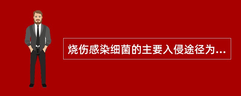 烧伤感染细菌的主要入侵途径为（）.