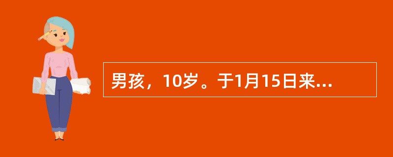 男孩，10岁。于1月15日来院急诊。其母代诉，起病急，高热、头痛伴呕吐8h，现呼