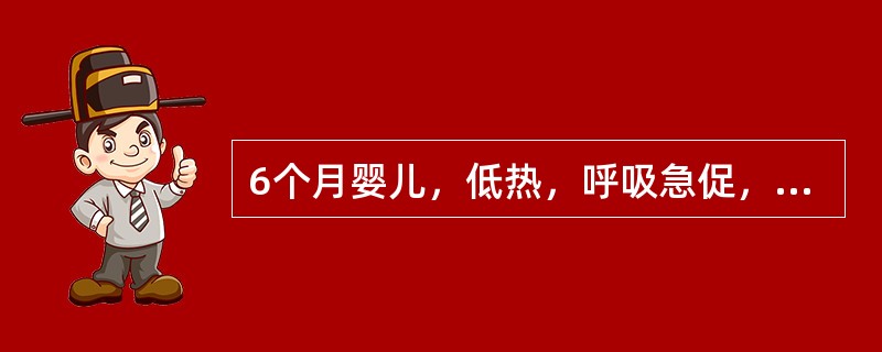 6个月婴儿，低热，呼吸急促，鼻翼扇动，胸部听诊有喘鸣音，首选的处理（）