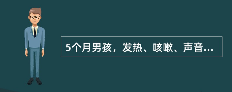 5个月男孩，发热、咳嗽、声音嘶哑1天。查体闻及犬吠样咳嗽及喉鸣音，双肺呼吸音清。