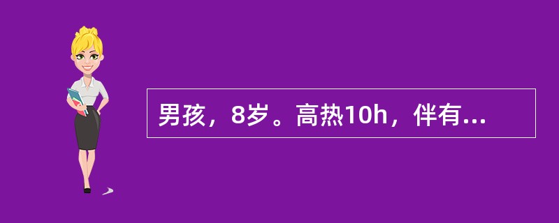 男孩，8岁。高热10h，伴有头痛、呕吐，球结膜充血，全身散在瘀点，颈软，血压9．