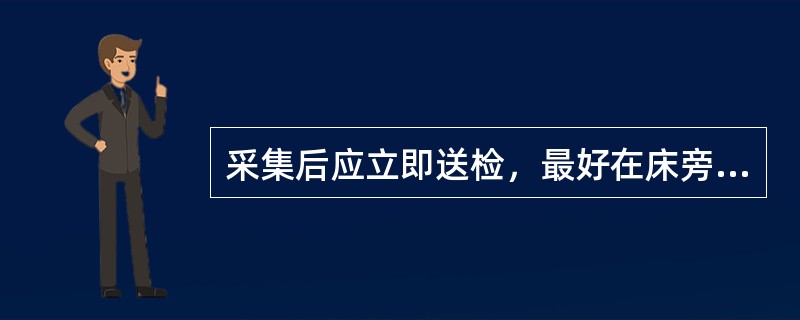 采集后应立即送检，最好在床旁直接接种的标本是()
