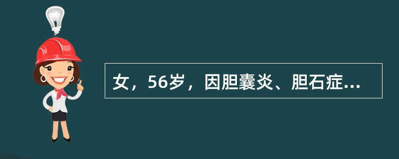 女，56岁，因胆囊炎、胆石症用庆大霉素每日24万单位静脉点滴3天，但感染不能控制