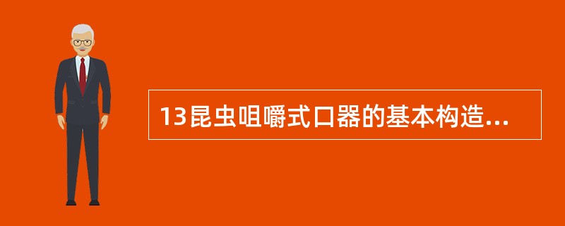 13昆虫咀嚼式口器的基本构造是由（）、（）、（）、（）以及（）这五部分组成。