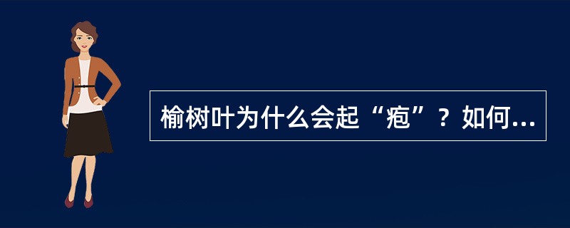 榆树叶为什么会起“疱”？如何防治？