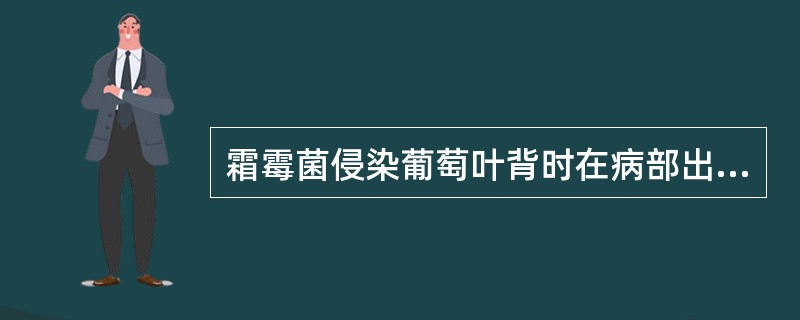 霜霉菌侵染葡萄叶背时在病部出现一层（）.