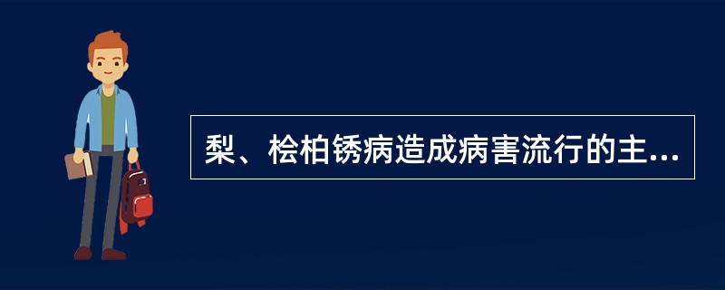 梨、桧柏锈病造成病害流行的主导因素是（）。