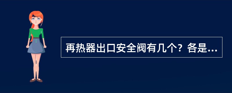 再热器出口安全阀有几个？各是什么形式的？