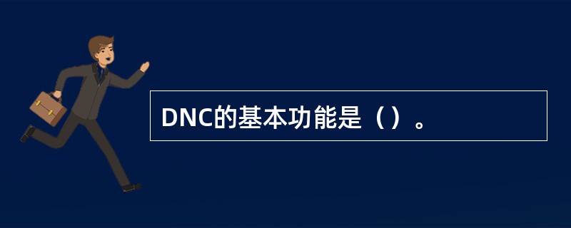 DNC的基本功能是（）。