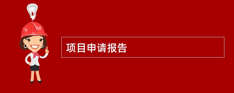 项目申请报告