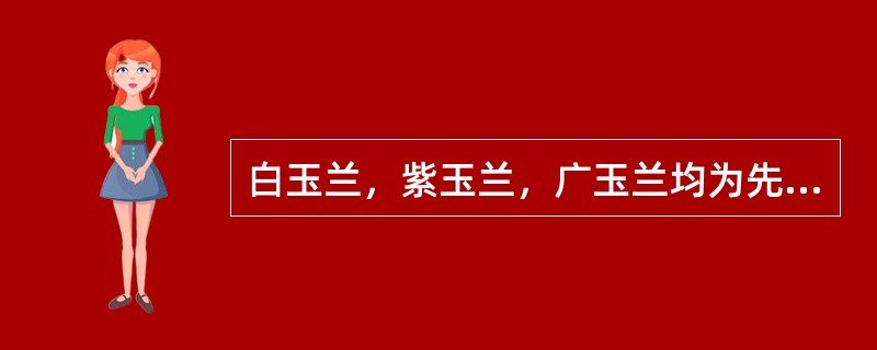 白玉兰，紫玉兰，广玉兰均为先花后叶树种.