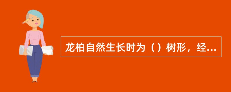 龙柏自然生长时为（）树形，经修剪去除其顶端优势而成（）形.