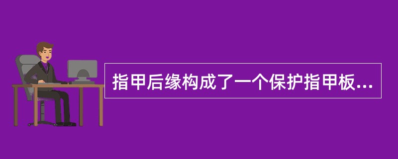 指甲后缘构成了一个保护指甲板形成区域的（）。