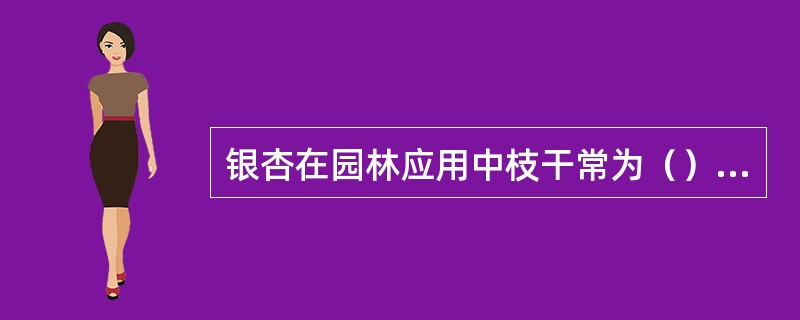 银杏在园林应用中枝干常为（），也可经修剪使之成（）。