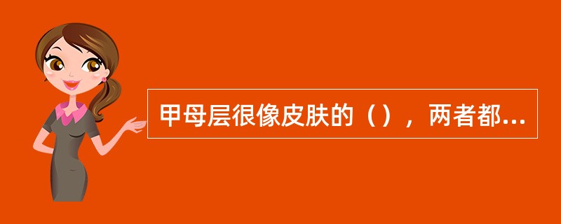 甲母层很像皮肤的（），两者都是由紧围在适当位置的特殊细胞构成。