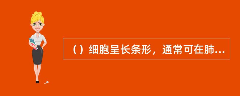 （）细胞呈长条形，通常可在肺结核和破伤风患者身上发现。