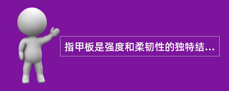 指甲板是强度和柔韧性的独特结合，它的柔韧性多数应归于（）。