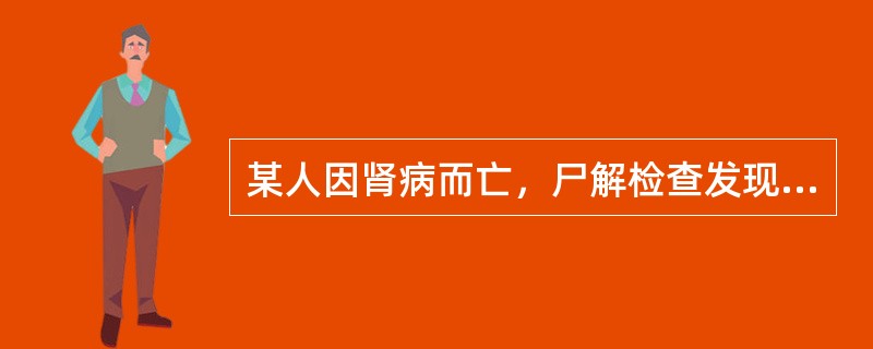 某人因肾病而亡，尸解检查发现其肾脏体积变小，表面不平、质地变硬，有大的瘢痕凹陷。