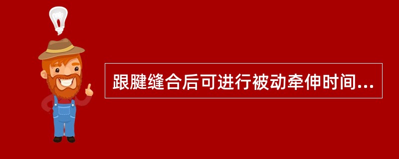 跟腱缝合后可进行被动牵伸时间为（）