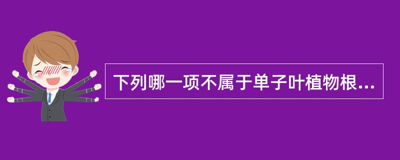 下列哪一项不属于单子叶植物根类中药组织构造的组成部分（）