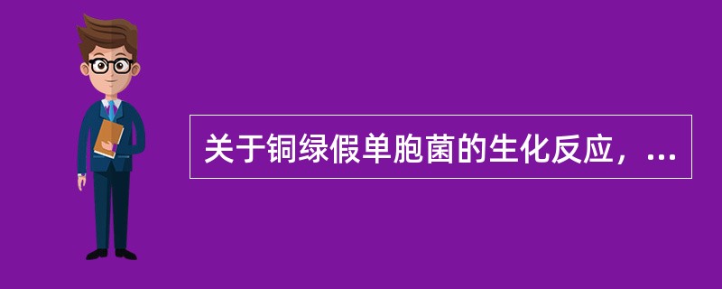 关于铜绿假单胞菌的生化反应，错误的是()