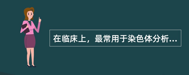 在临床上，最常用于染色体分析的标本是（）