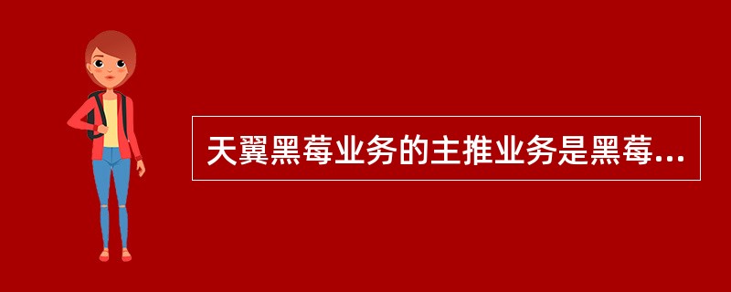 天翼黑莓业务的主推业务是黑莓邮件服务。