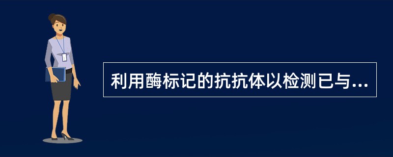 利用酶标记的抗抗体以检测已与固相结合的受检抗体的方法，通常称为（）