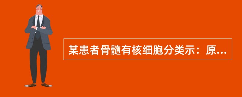 某患者骨髓有核细胞分类示：原单核细胞77％，有核红6％，其他细胞17％，应该诊断