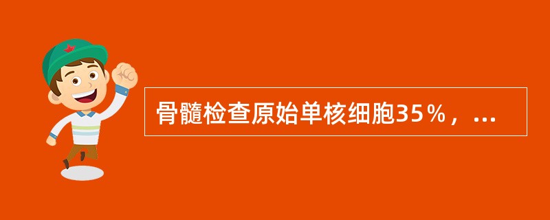 骨髓检查原始单核细胞35％，原始粒细胞24％，幼稚单核细胞15％，早幼粒细胞8％