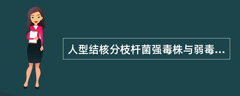 人型结核分枝杆菌强毒株与弱毒株的区别是前者有()